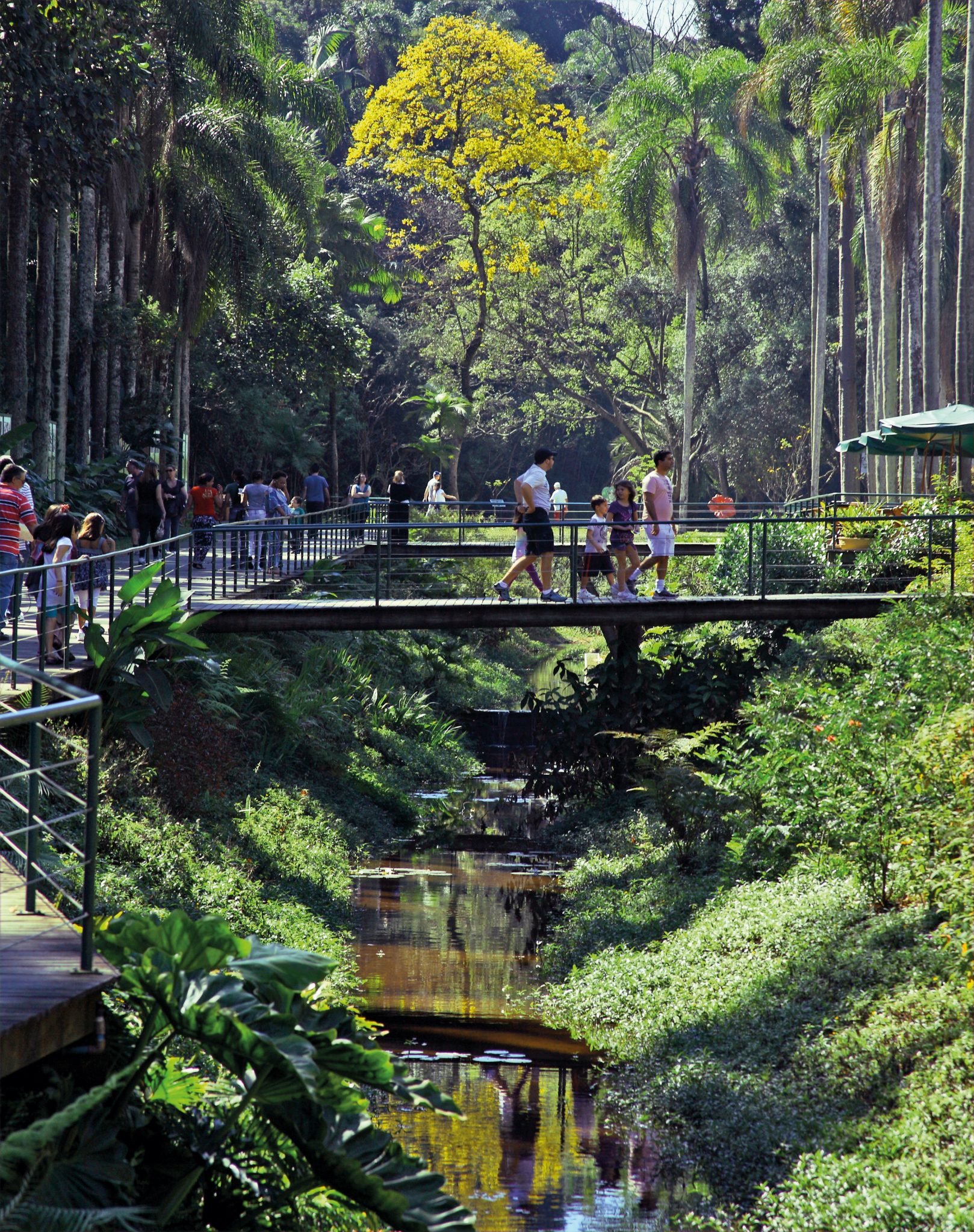 Jardim Botânico De São Paulo 4059